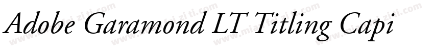 Adobe Garamond LT Titling Capitals字体转换